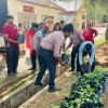 Home Gardening at Vavuniya District Secretariat-25.08.2022